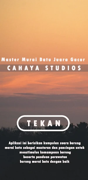 Master Murai Batu Juara Gacor Screenshot 1