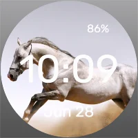 Skakun - Watch Face
