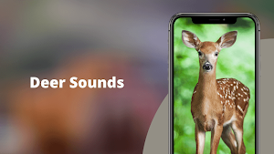 Deer sounds - Deer Hunting Calls Screenshot 0