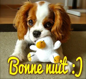 Bonjour Bonsoir Bonne Nuit Screenshot 0