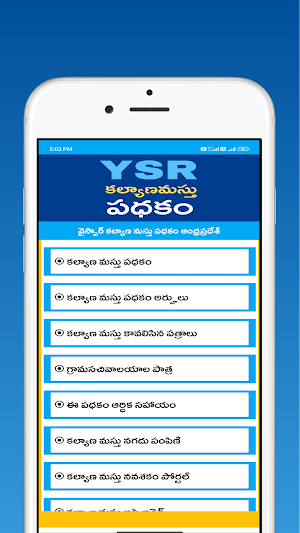 AP -YSR Kalyna -Masthu Online Screenshot 1