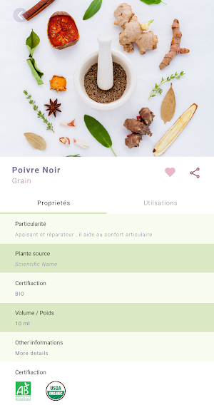 Florentine Screenshot 2