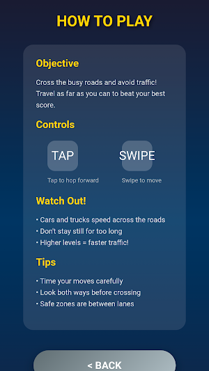 Traficross Roady Adventure Screenshot 0