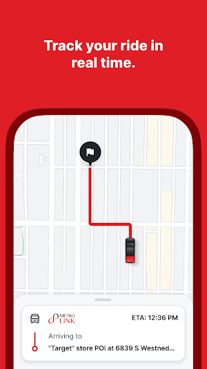 Metro Link - Kalamazoo Screenshot 3