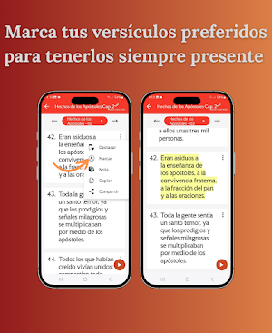 Biblia Latinoamericana estudio Screenshot 2