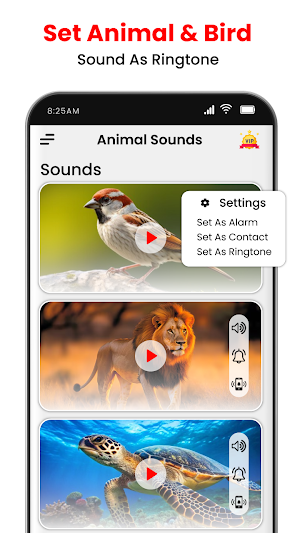Animal Ringtones and Wallpaper Screenshot 3