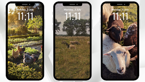Farm Aesthetic Wallpaper Screenshot 0
