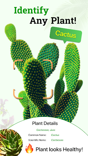 Plant Identifier Plant ID Screenshot 0