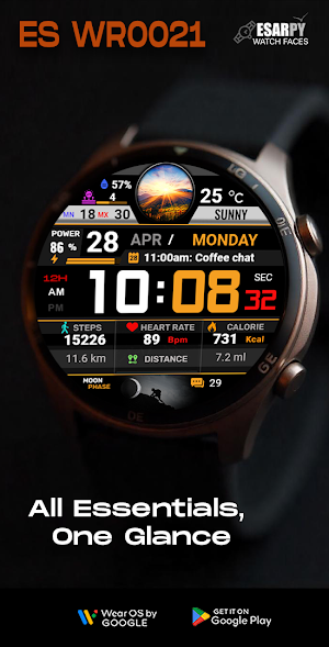 ES WR0021 Screenshot 0
