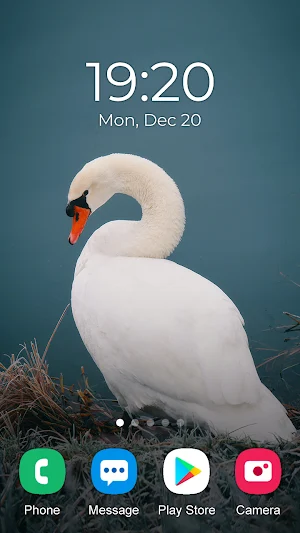 Bird Wallpaper 2023 Screenshot 2