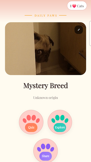Daily Paws Screenshot 0
