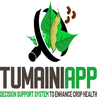 Tumaini Bean