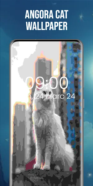 Angora Cat Wallpaper Screenshot 0