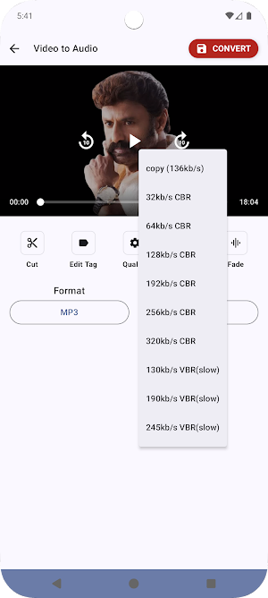Video to MP3 Converter Screenshot 2