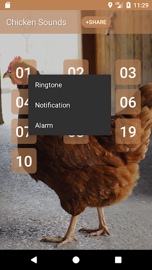 Chicken Sounds Screenshot 1