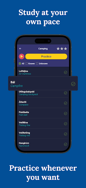 Learn Icelandic - Beginners Screenshot 2