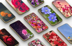 Flowers Wallpapers Screenshot 0