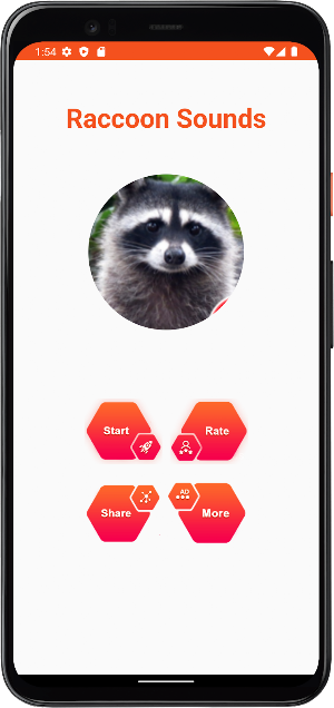 Raccoon Sounds Screenshot 1