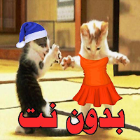 ندى حبيبة بابا 2022