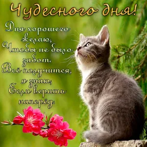 Хорошего дня Screenshot 2