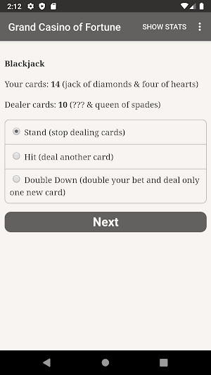 Grand Casino of Fortune Screenshot 3
