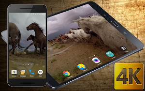 Wild Horses Live Wallpaper Screenshot 0