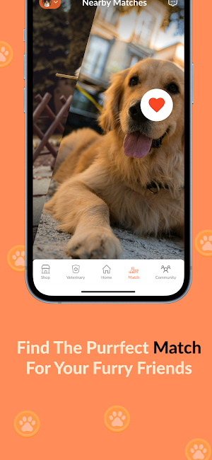 Pawsome Screenshot 1