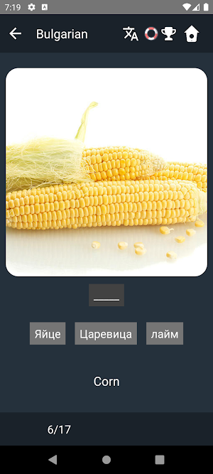 Bulgarian Language Tests Screenshot 3