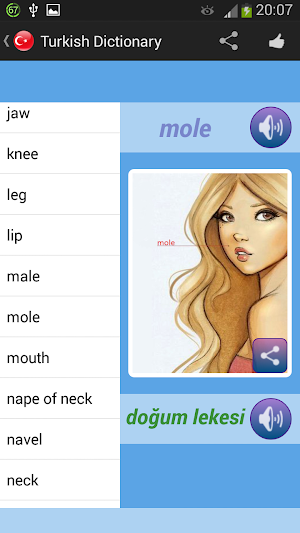 Turkish Dictionary Screenshot 3