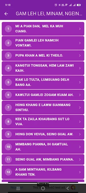 Pasian Phatna Labu Screenshot 1
