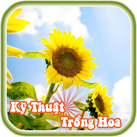 Kỹ Thuật Trồng Hoa Đẹp Sắc Màu