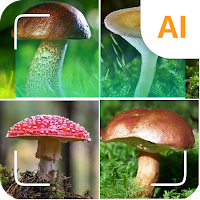 Mushroom identifier