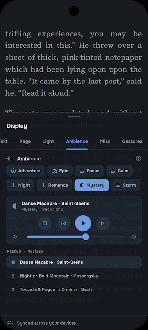 RookReader: Ebook & Audiobook Screenshot 3
