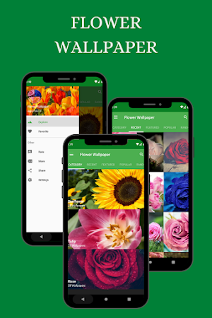 Flower Wallpaper - Images Screenshot 0
