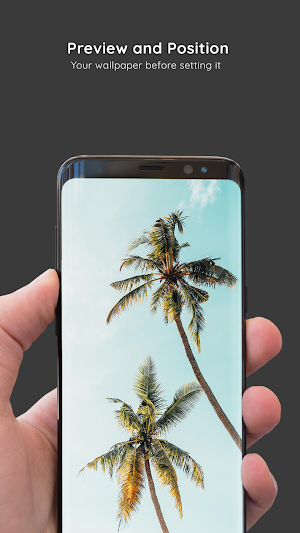 Tropical Wallpapers 8K ULTRA Screenshot 3
