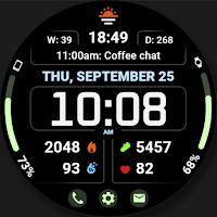 WFP 345 Informer watch face