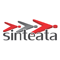 Sinteata