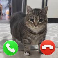 Call from Ui ie ia Cat Spining
