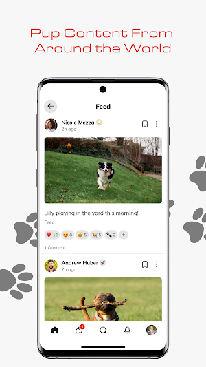 Dogspotting App Screenshot 0