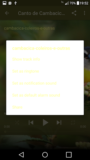 Canto de Cambacica Mp3 Screenshot 2