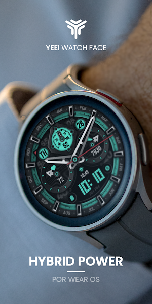 Hybrid power: Watch Face Screenshot 3