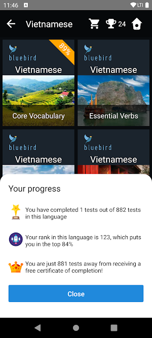 Vietnamese Language Tests Screenshot 2