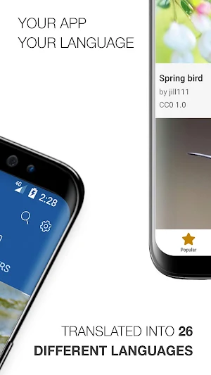 Bird Calls, Sounds & Ringtones Screenshot 3