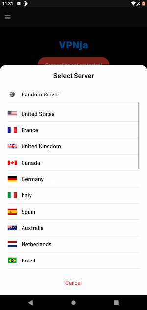VPNja - Ninja Speed VPN Screenshot 1