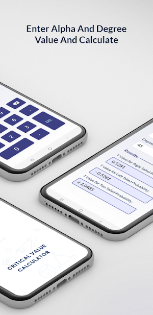 Critical Value Calculator Screenshot 1