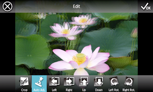 3DSteroid Screenshot 2