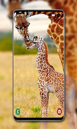 Animal Wallpapers 🦁🦓🐘 Screenshot 3