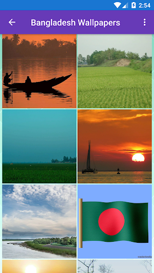 Bangladesh Flag Wallpaper: Flags and Country Image Screenshot 2