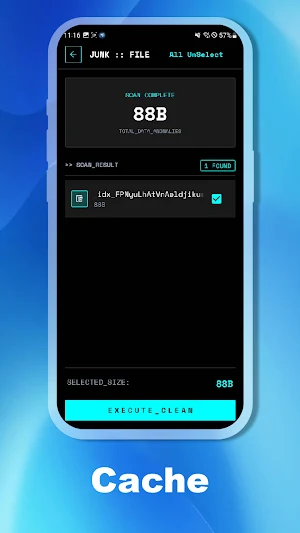 BriarClean Screenshot 2