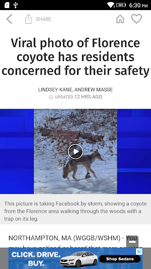 Western Mass News Screenshot 1